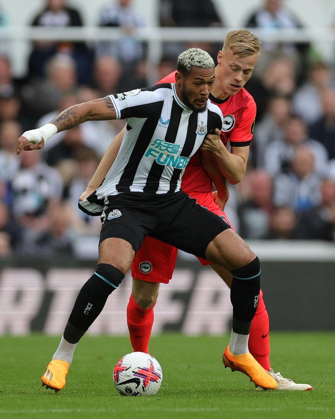 1bc91c1b6321ee9d40791a444e5e5796_70bOOOPICa8_1024